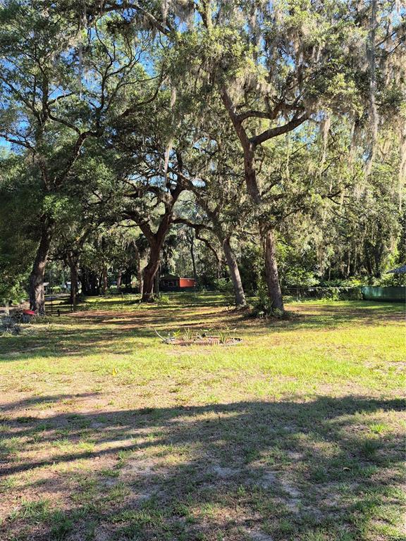 16615 Island Road Citra, FL 32113 - Photo 7 of 10