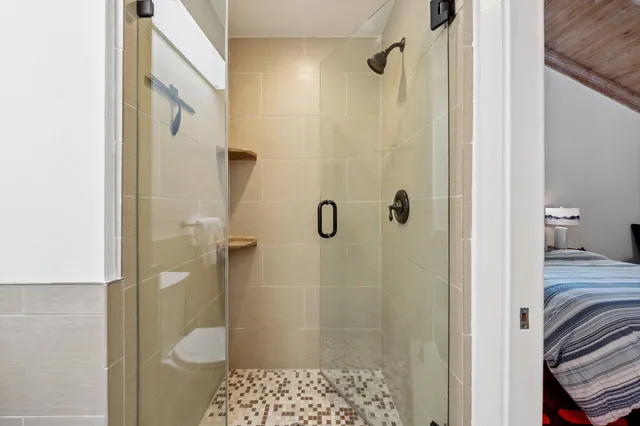 a bathroom with a shower and a toilet