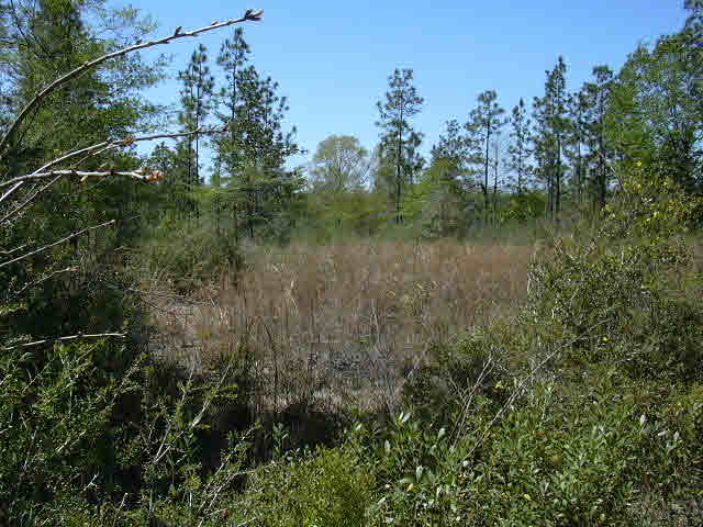 14 John Oliver Road Bay Minette, AL 36507 - Photo 1 of 1
