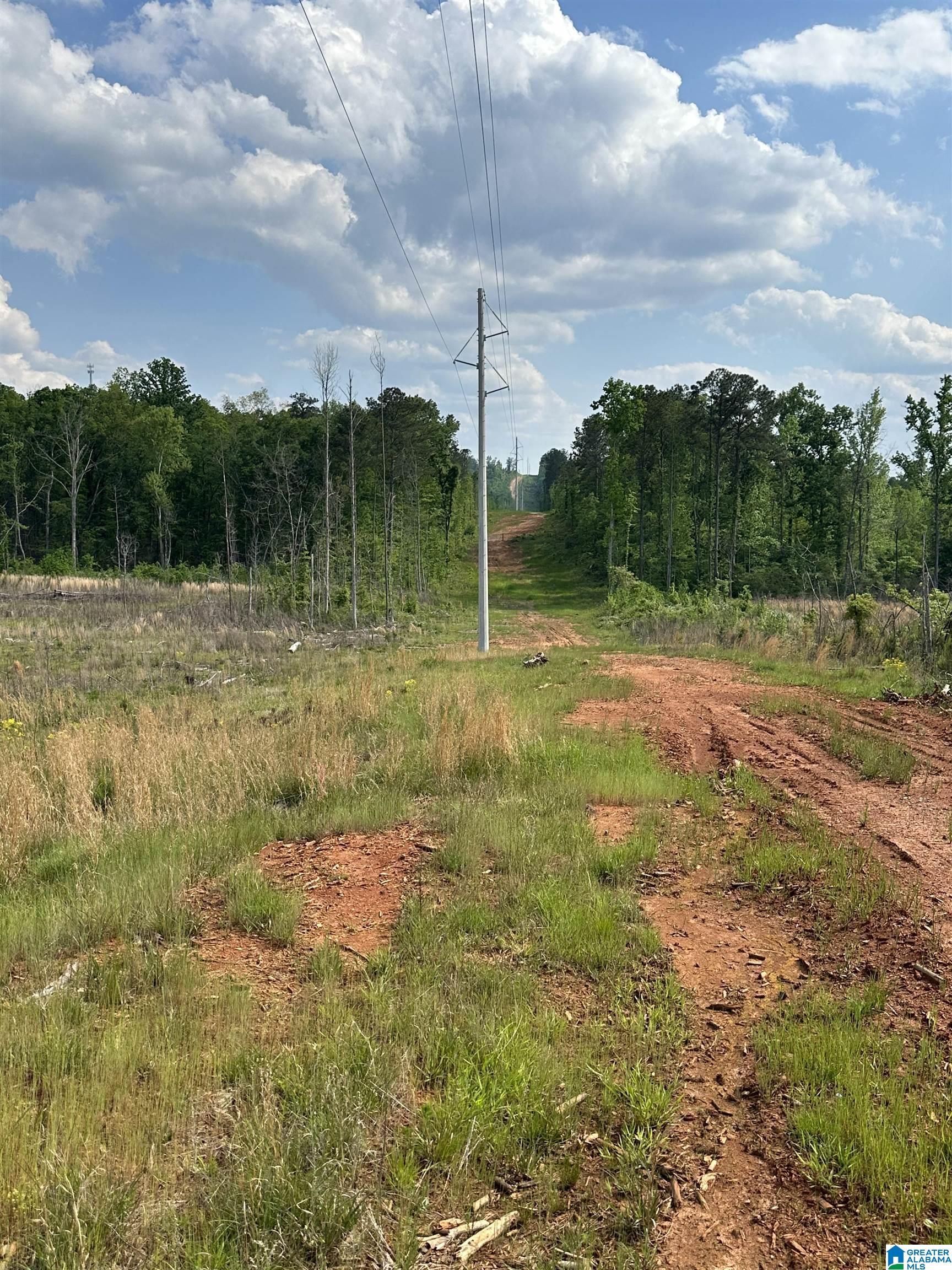 1 Grissom Ferry Road, Unit 145 Vincent, AL 35178 - Photo 4 of 6 Gallery Image 4
