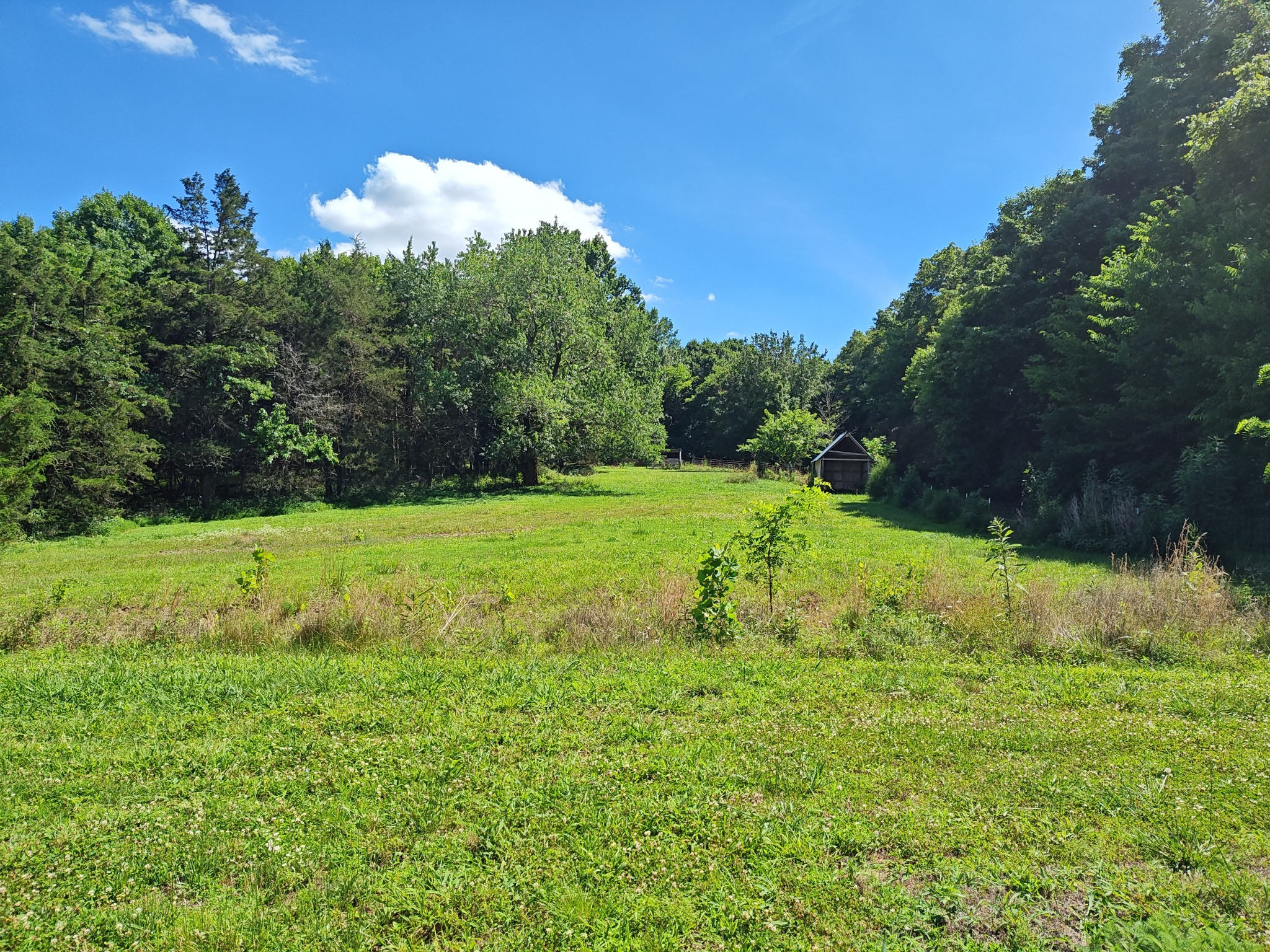 2770 Beech Log Road Watertown, TN 37184 - Photo 62 of 87