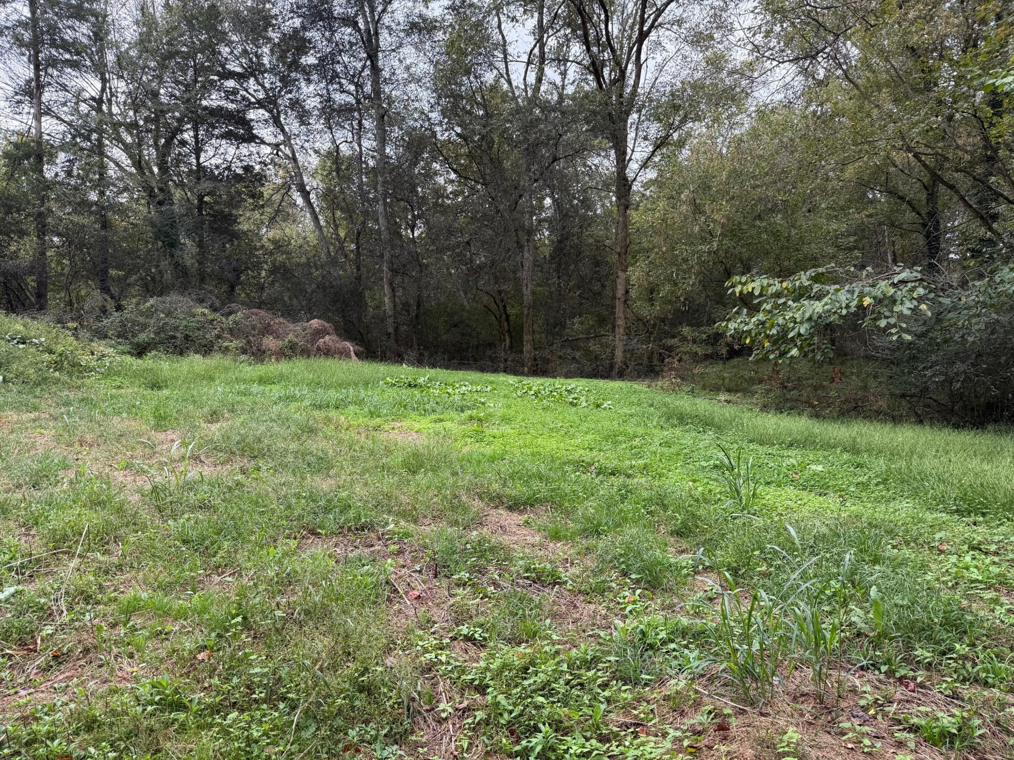 4 Fagin Road Madisonville, TN 37354 - Photo 1 of 16 Gallery Image 1