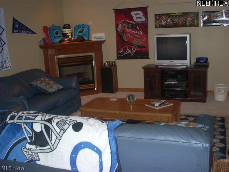 1352 Ashwood Road Akron, OH 44312 - Photo 19 of 25 Gallery Image 19