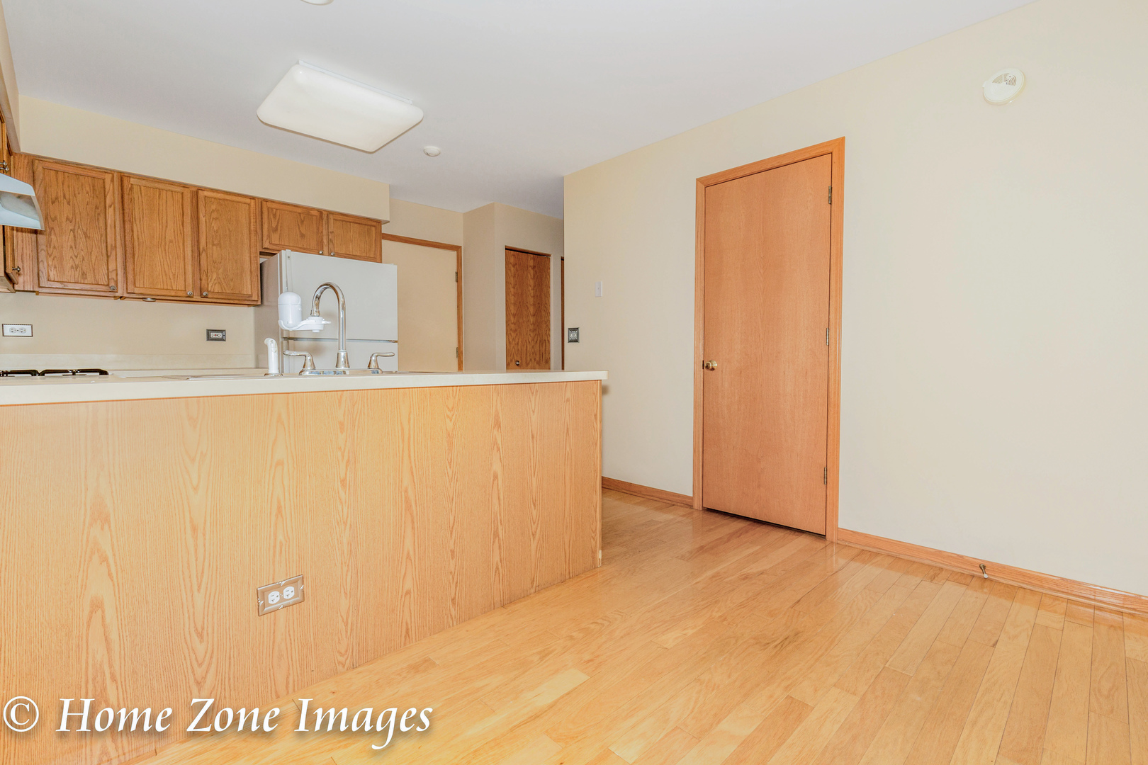 3133 Reflection Drive, Unit 3133 Naperville, IL 60564 - Photo 10 of 28