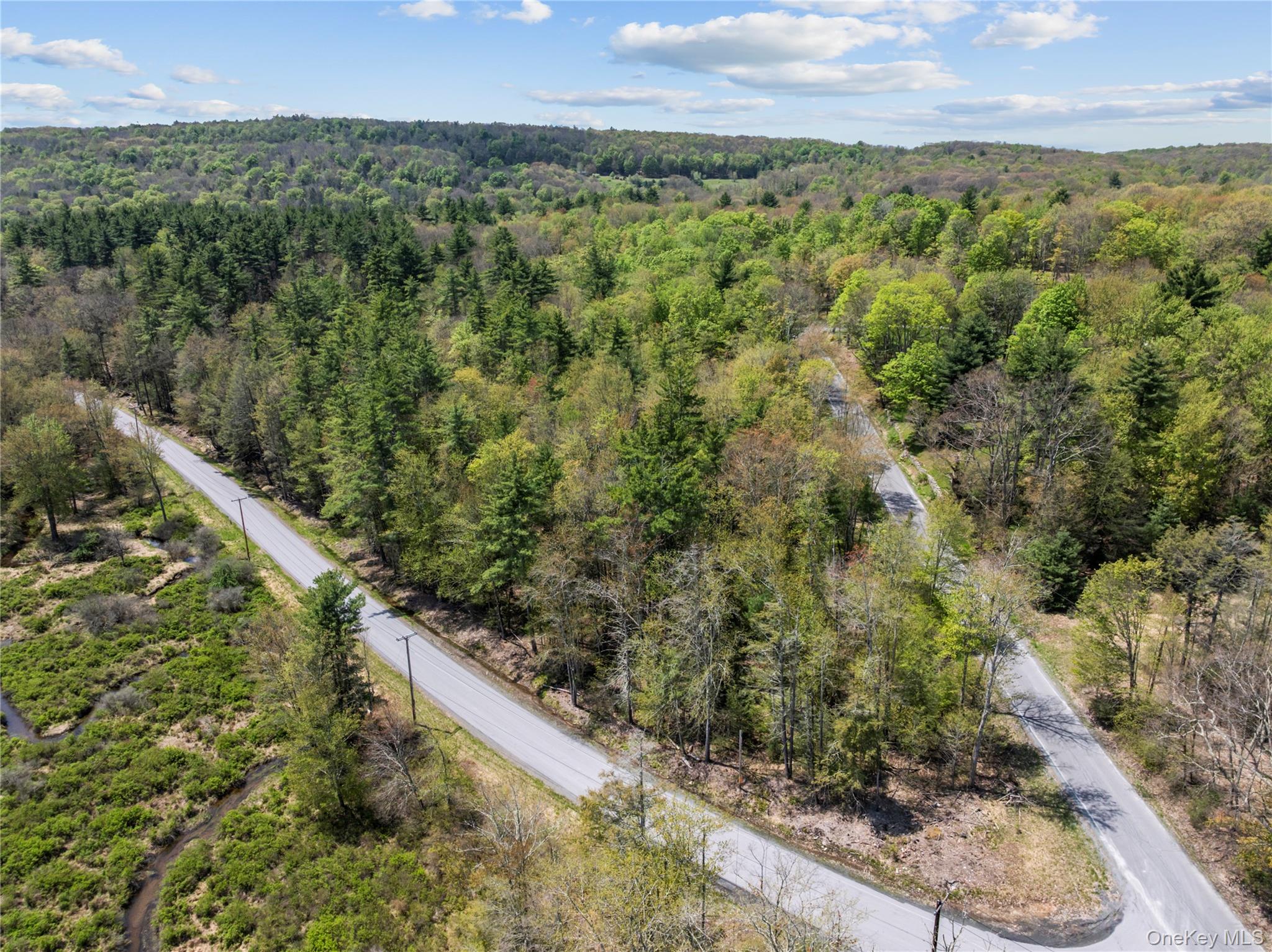 Church Road Fallsburg, NY 12733 - Photo 3 of 12