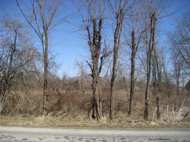 0 Stoudertown Road Baltimore, OH 43105 - Photo 4 of 4