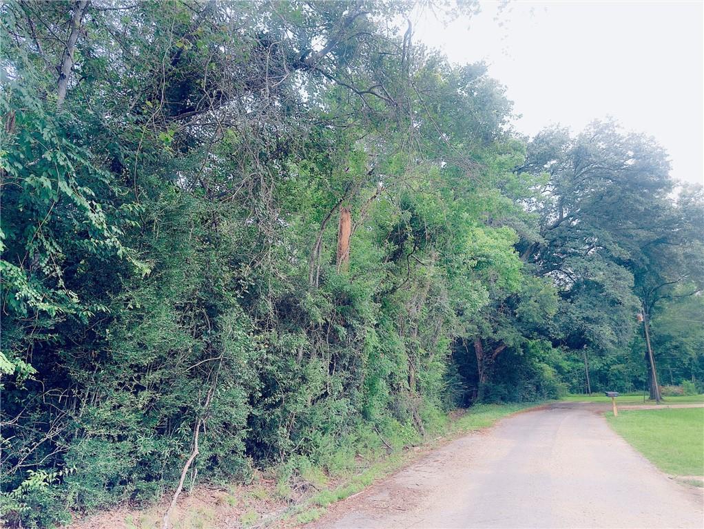 32.34-acres Musacchia Road Tickfaw, LA 70466 - Photo 3 of 3 Gallery Image 3