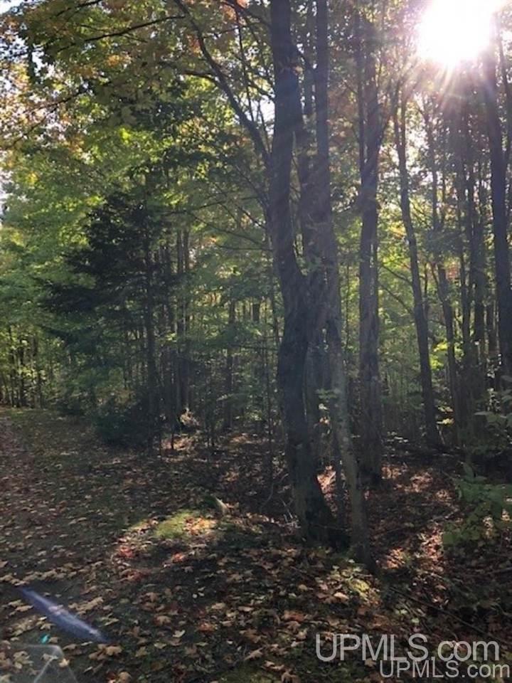 Tbd Koski Road Munising, MI 49862 - Photo 10 of 17