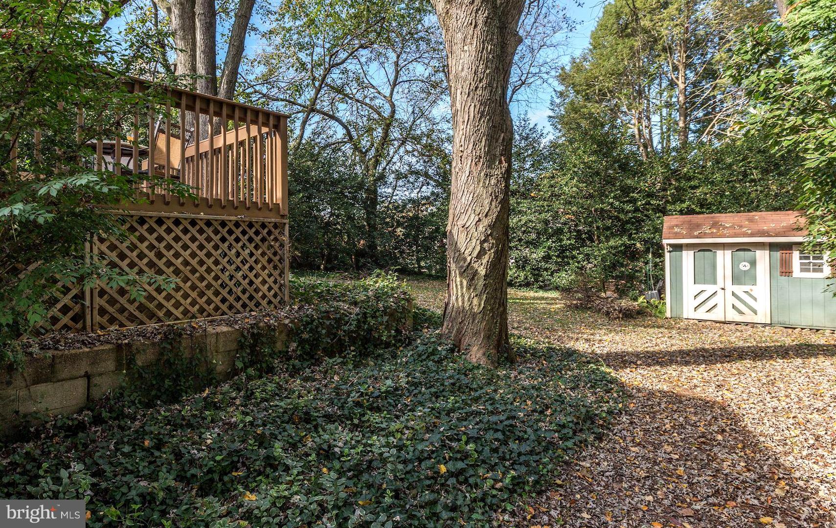 307 Gibson Road Annapolis, MD 21401 - Photo 17 of 31 Ever-Green Ivy Gardens . Detached Storage Shed