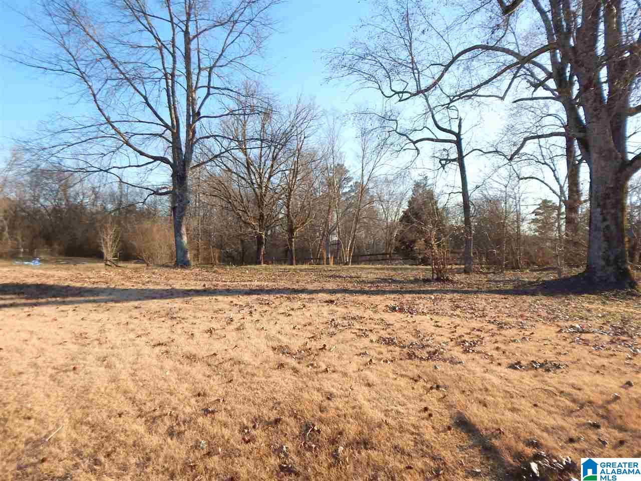 218 West Shugart Ridge Road, Unit 1 Gardendale, AL 35071 - Photo 3 of 3