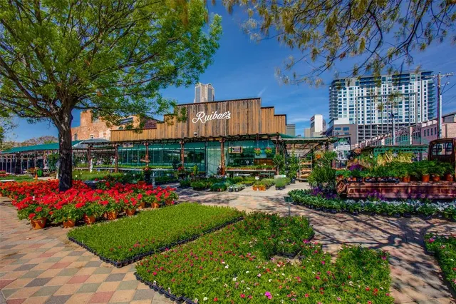 a view of a house with a yard and garden