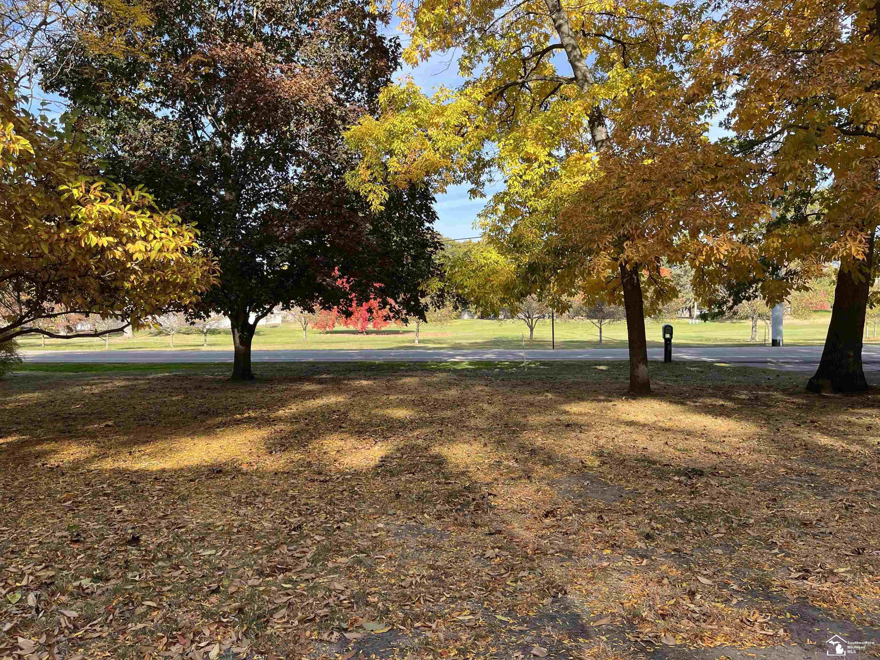 314 Cole Road Monroe, MI 48162 - Photo 8 of 55 50093242-7.JPG