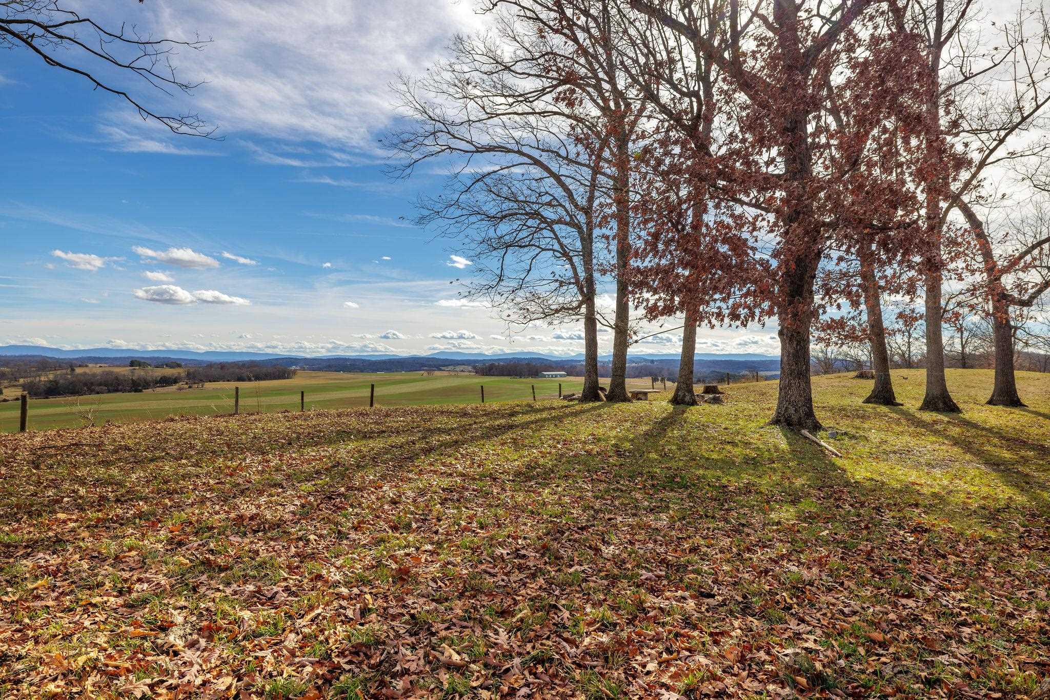 a view of outdoor space with trees