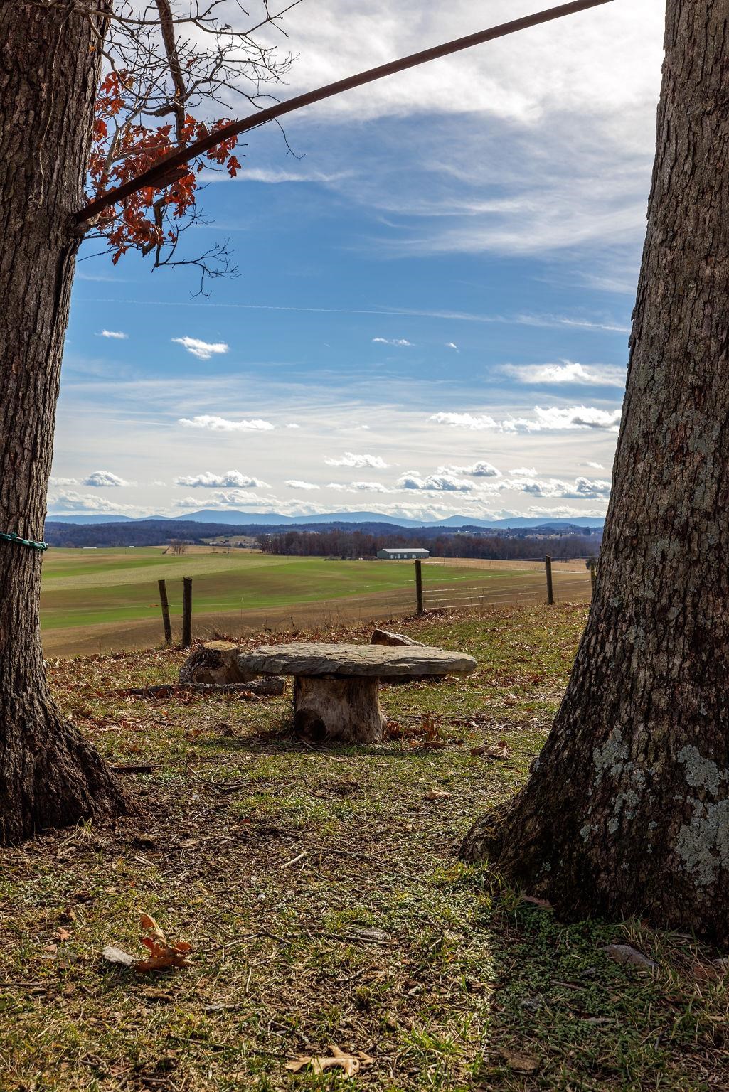 85-87 Curry Road Mount Solon, VA 22843 - Photo 56 of 59 a view of a lake view