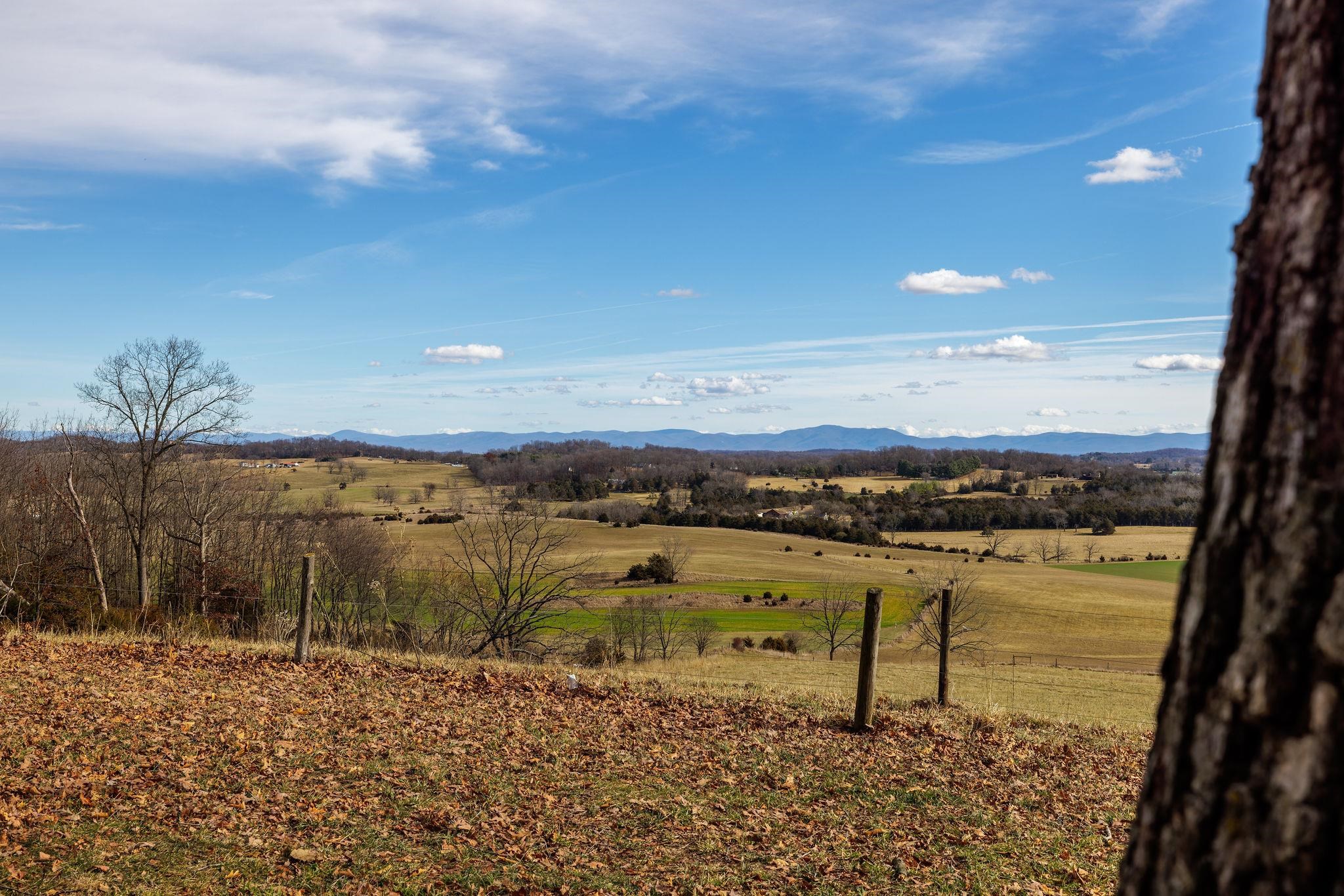 85-87 Curry Road Mount Solon, VA 22843 - Photo 6 of 59 a view of a lake with a beach