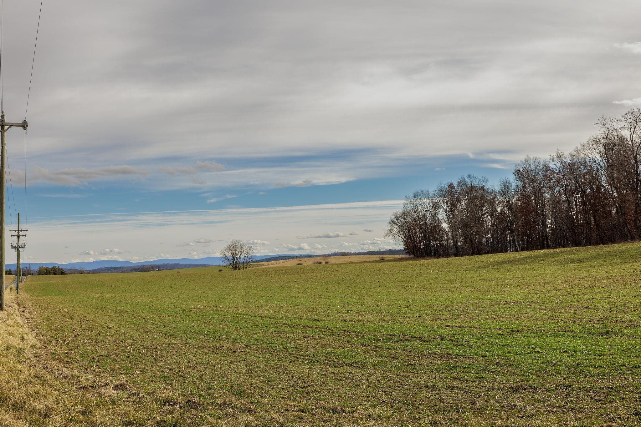 85-87 Curry Road Mount Solon, VA 22843 - Photo 8 of 59