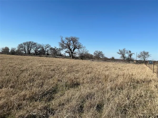 a view of a field with an ocean