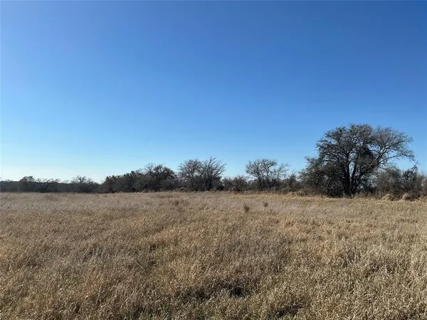 a view of a field with trees in the background
