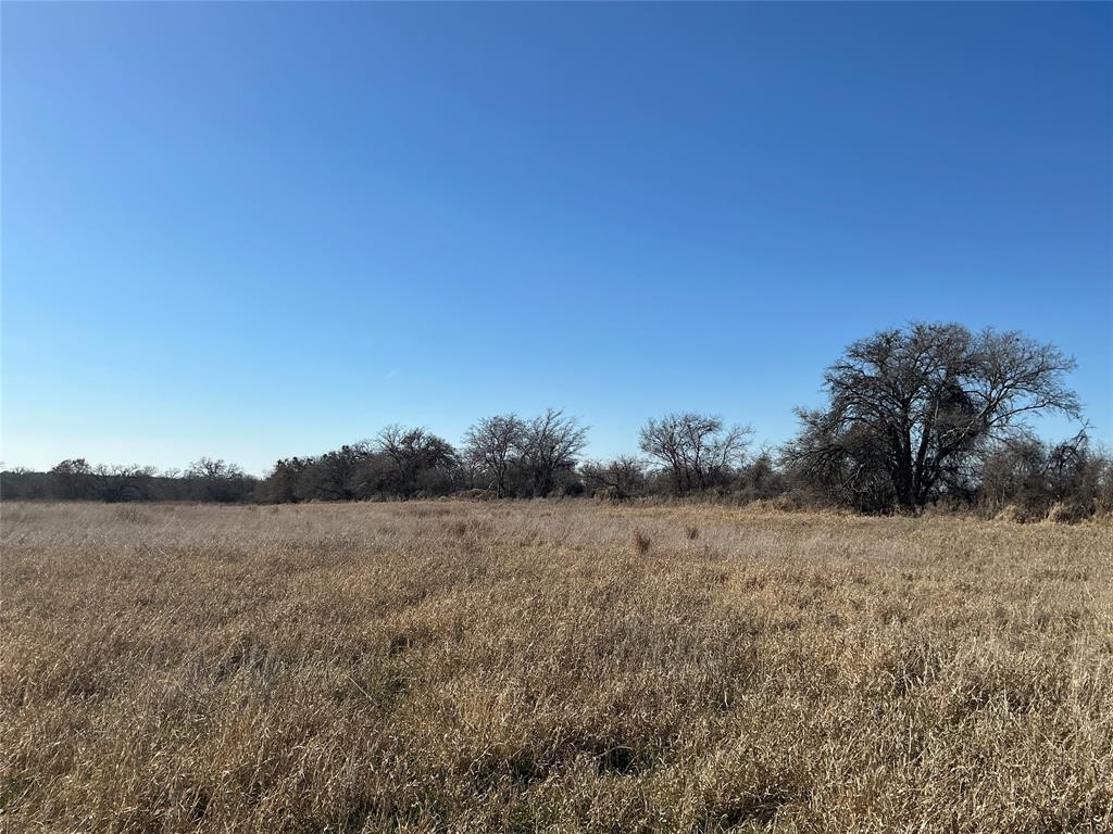152 County Road 152 Comanche, TX 76442 - Photo 6 of 15 a view of a field with trees in the background