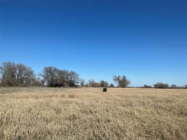 a view of a field with a mountain in the background