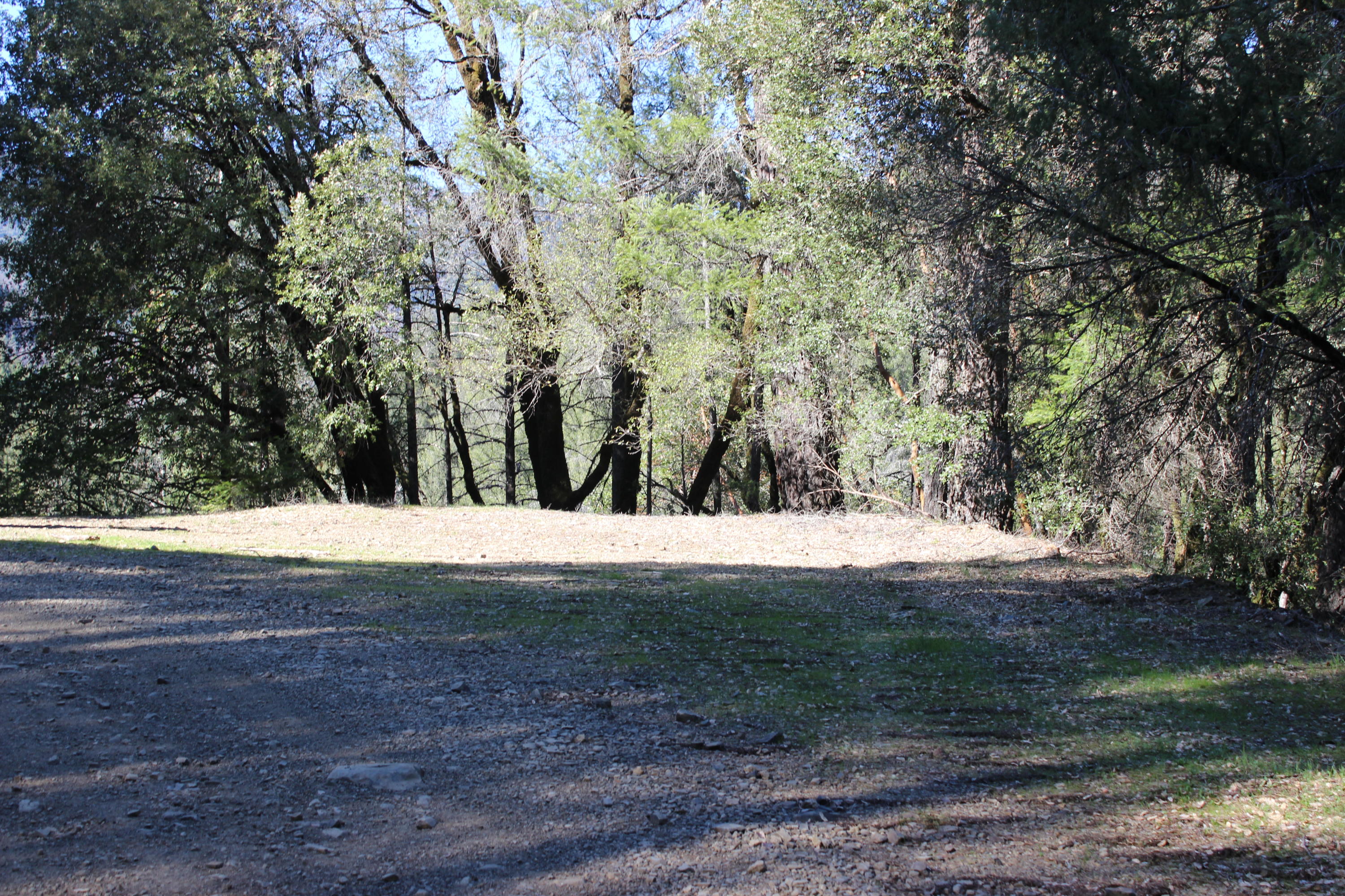 Fenders Ferry Road Lakehead, CA 96051 - Photo 11 of 29 a view of a yard with a tree