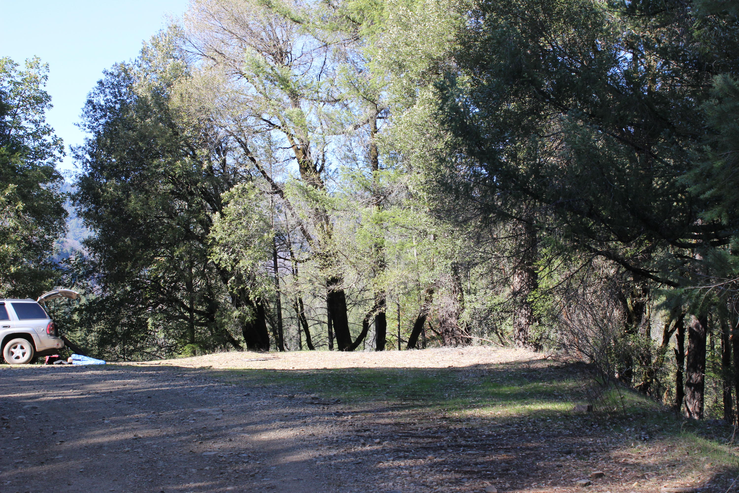 Fenders Ferry Road Lakehead, CA 96051 - Photo 12 of 29 a view of outdoor space and yard