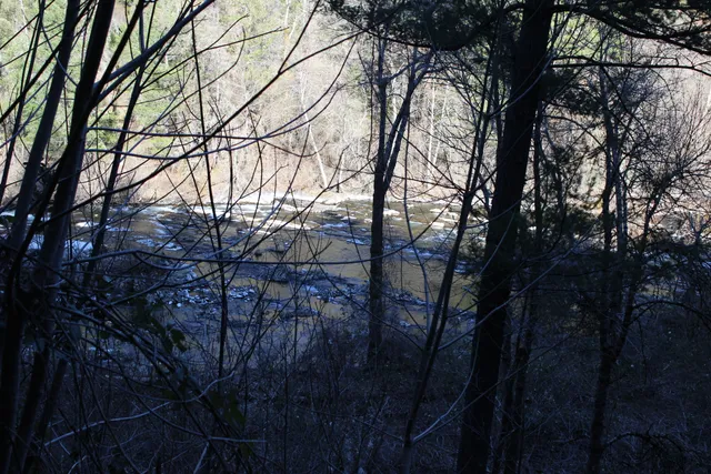 a view of outdoor space and yard
