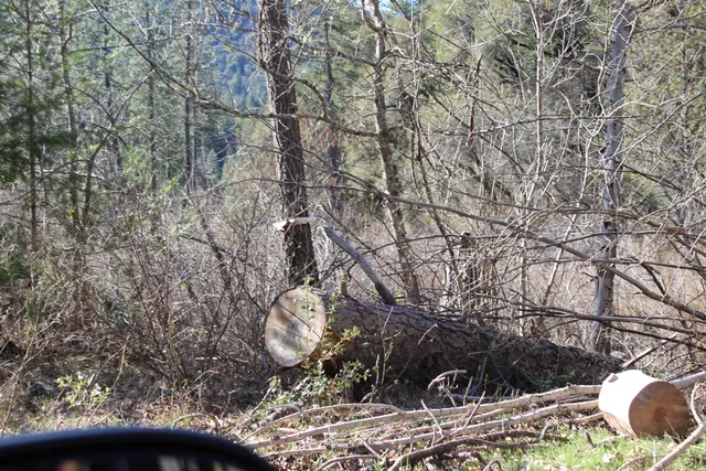 a view of outdoor space