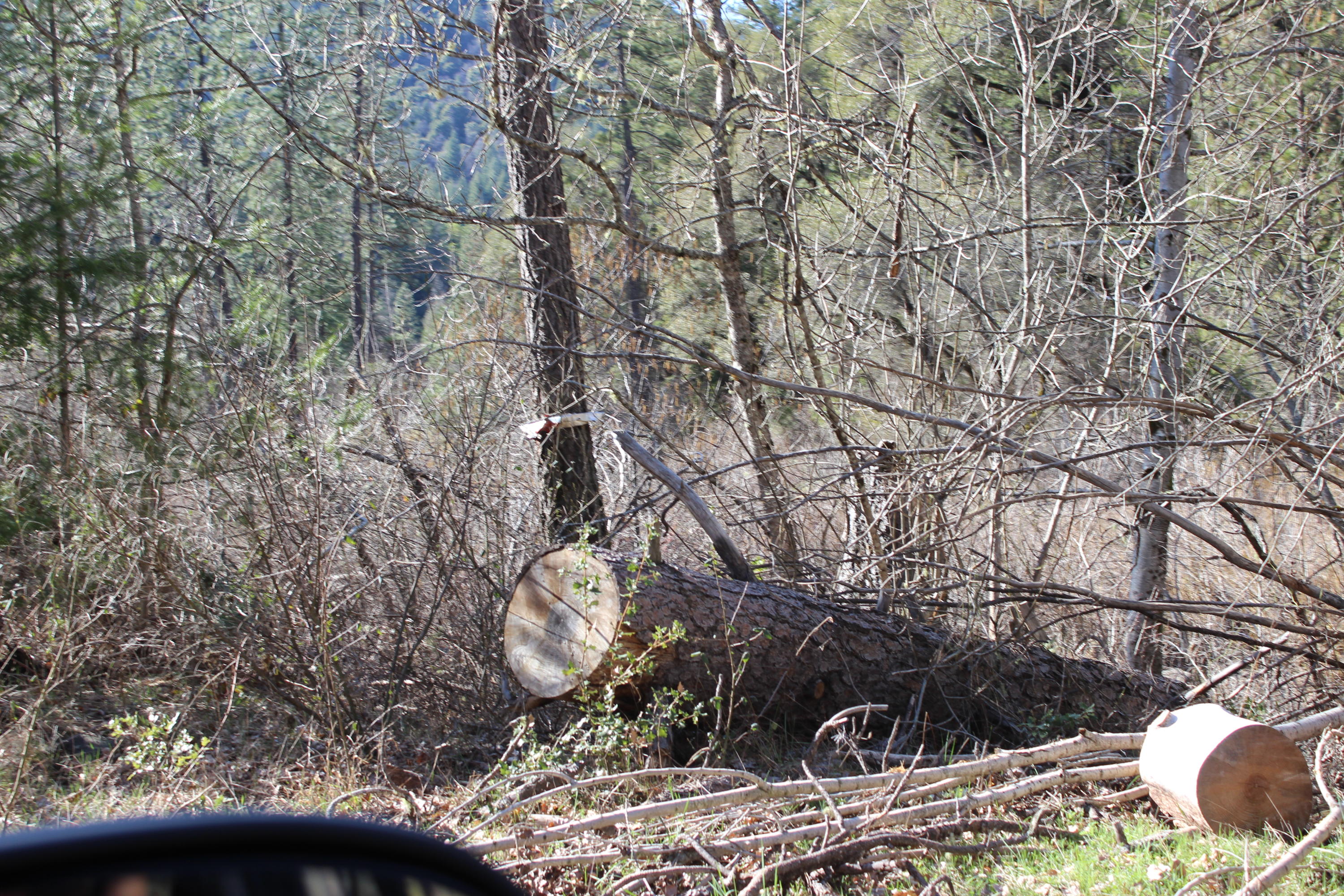 Fenders Ferry Road Lakehead, CA 96051 - Photo 20 of 29 a view of outdoor space and yard
