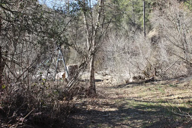 a backyard of a house with lots of trees