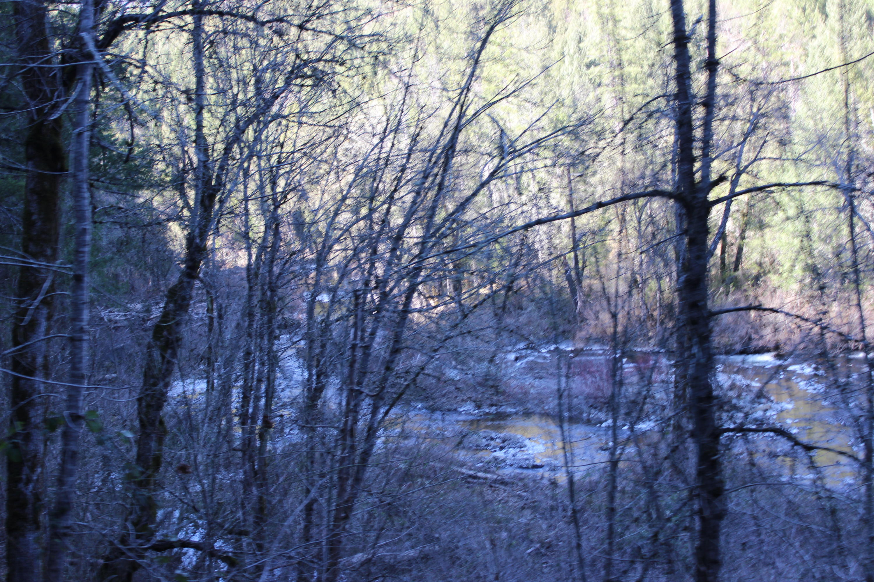 Fenders Ferry Road Lakehead, CA 96051 - Photo 26 of 29 a backyard of a house with lots of trees