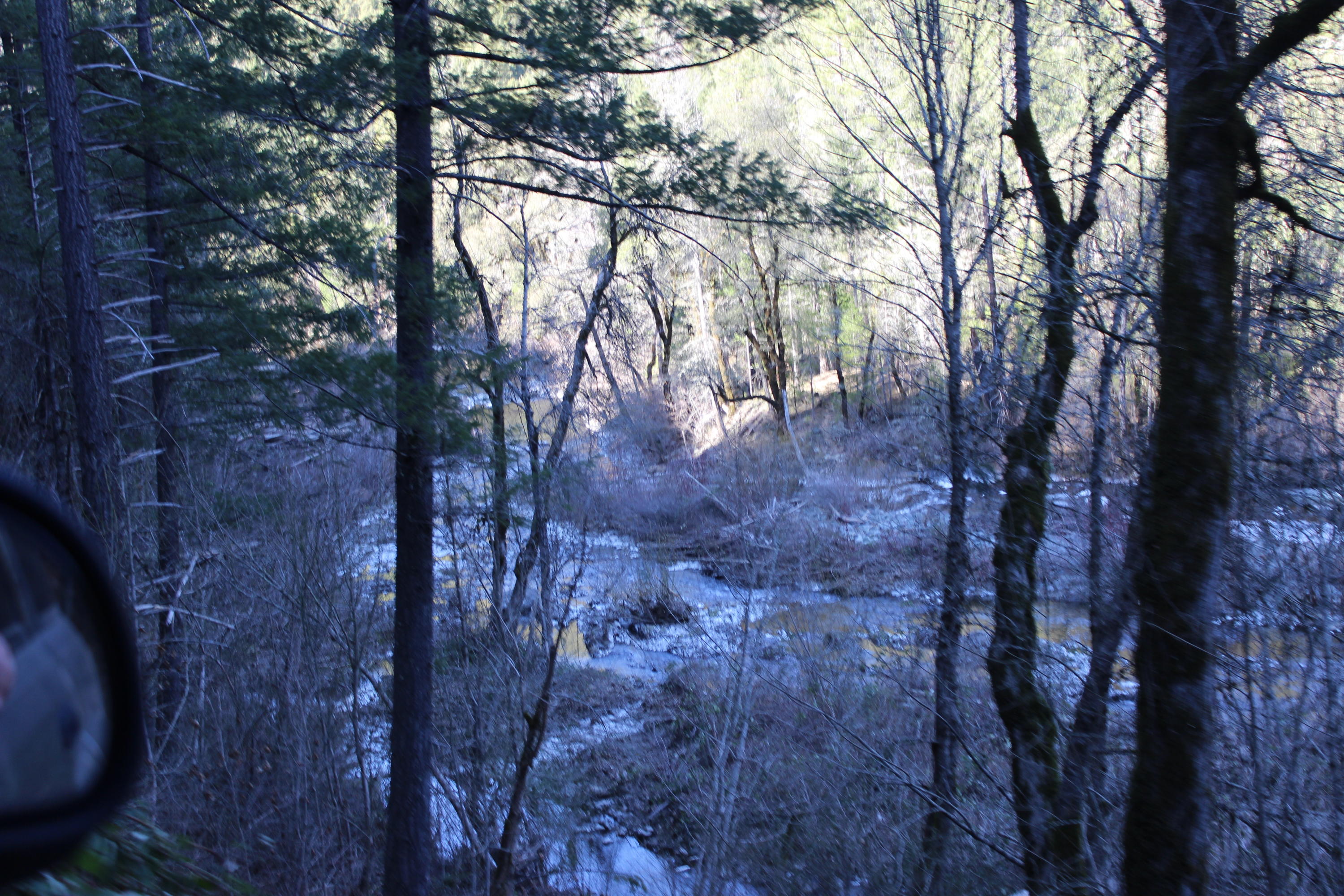 Fenders Ferry Road Lakehead, CA 96051 - Photo 27 of 29 a view of forest