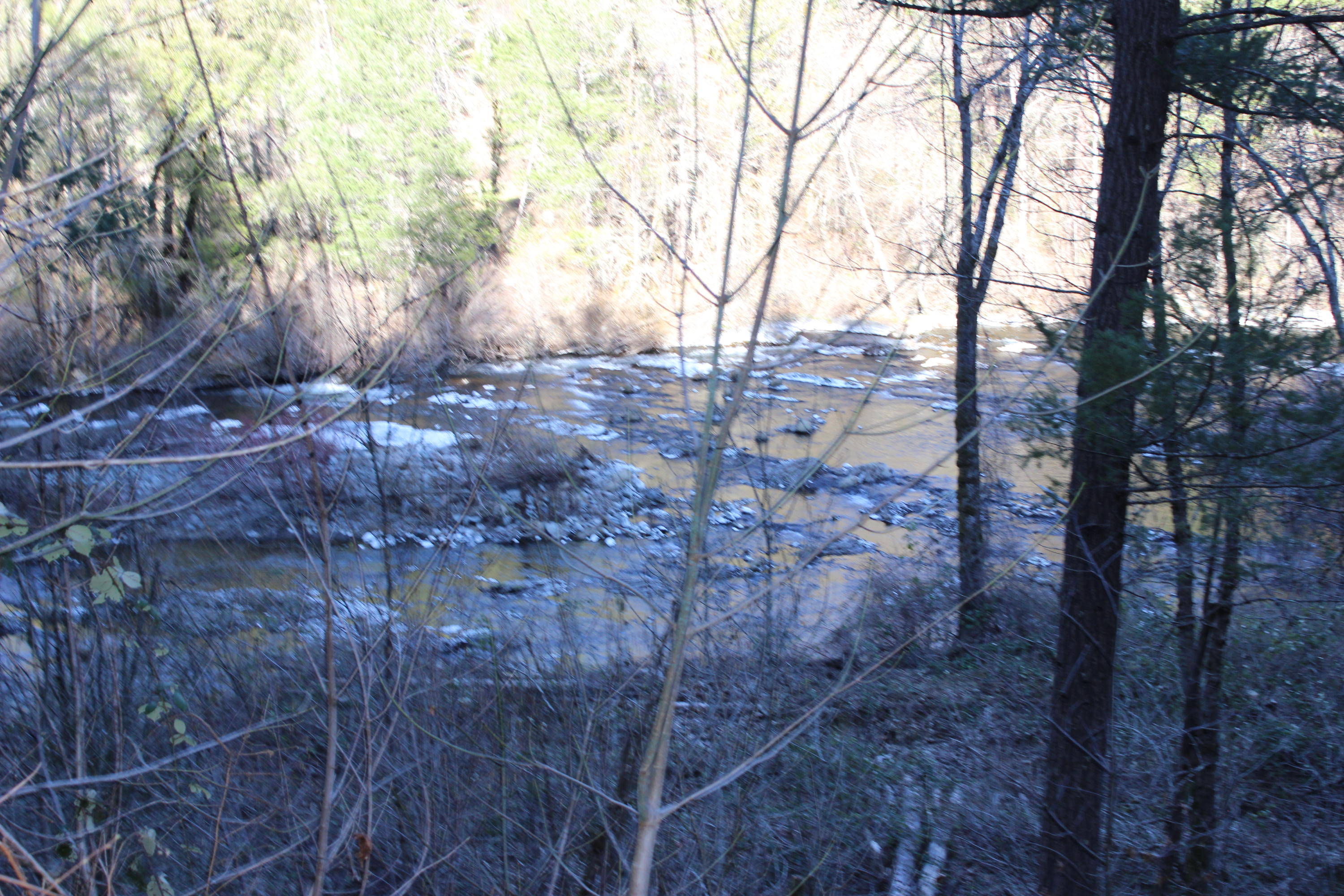 Fenders Ferry Road Lakehead, CA 96051 - Photo 29 of 29 a backyard of a house with lots of green space
