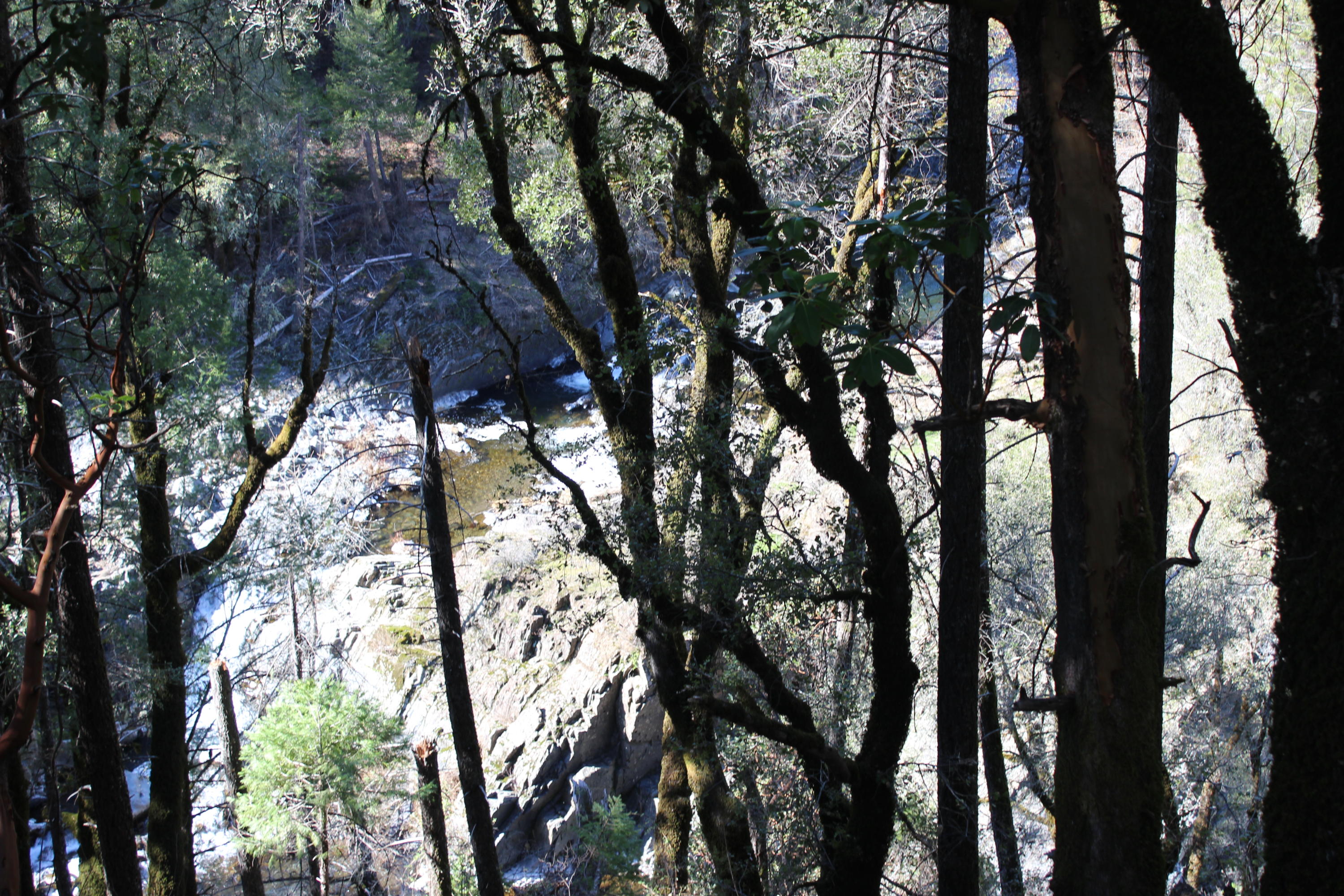Fenders Ferry Road Lakehead, CA 96051 - Photo 7 of 29 a view of tree