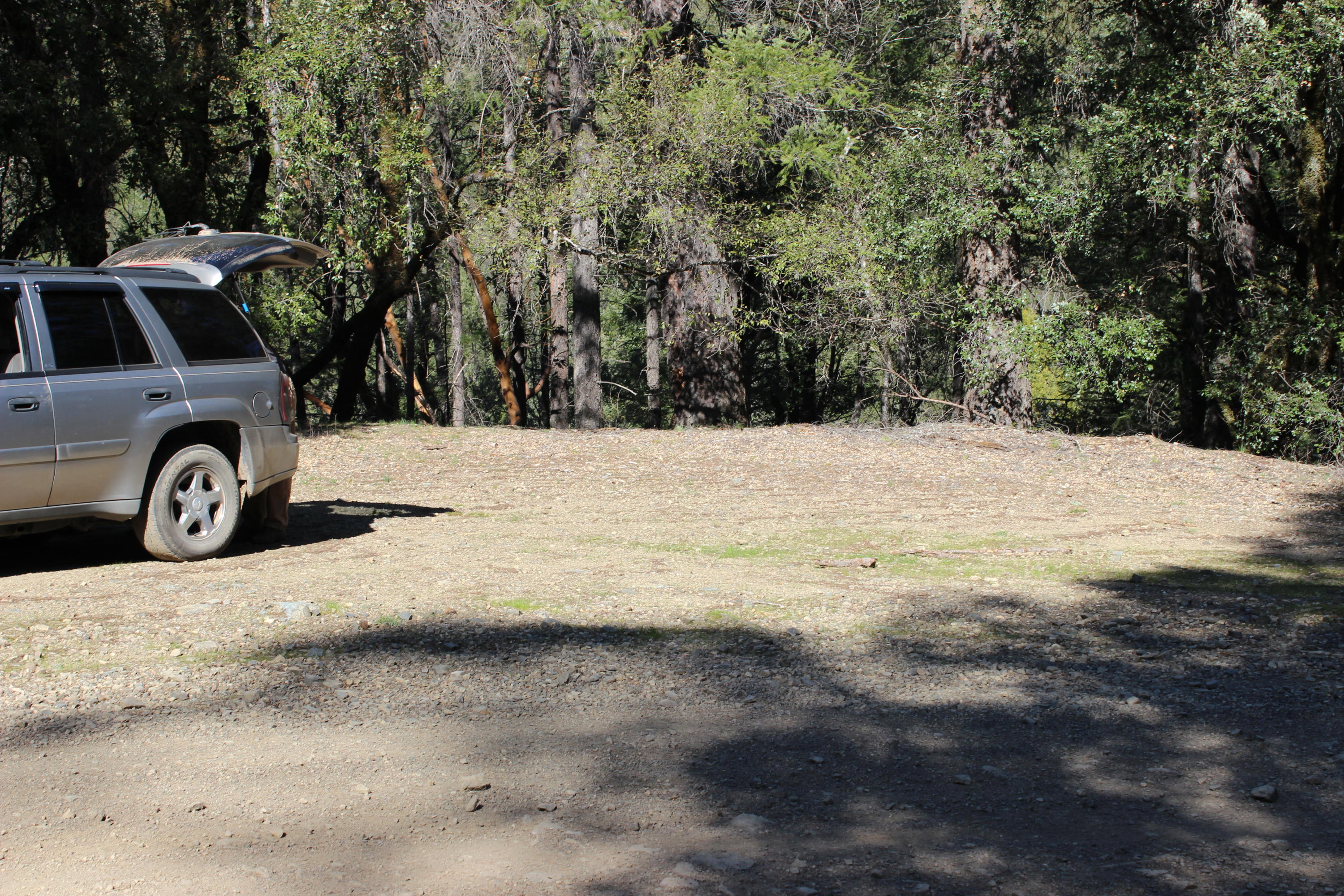Fenders Ferry Road Lakehead, CA 96051 - Photo 9 of 29 a view of a parking space with trees