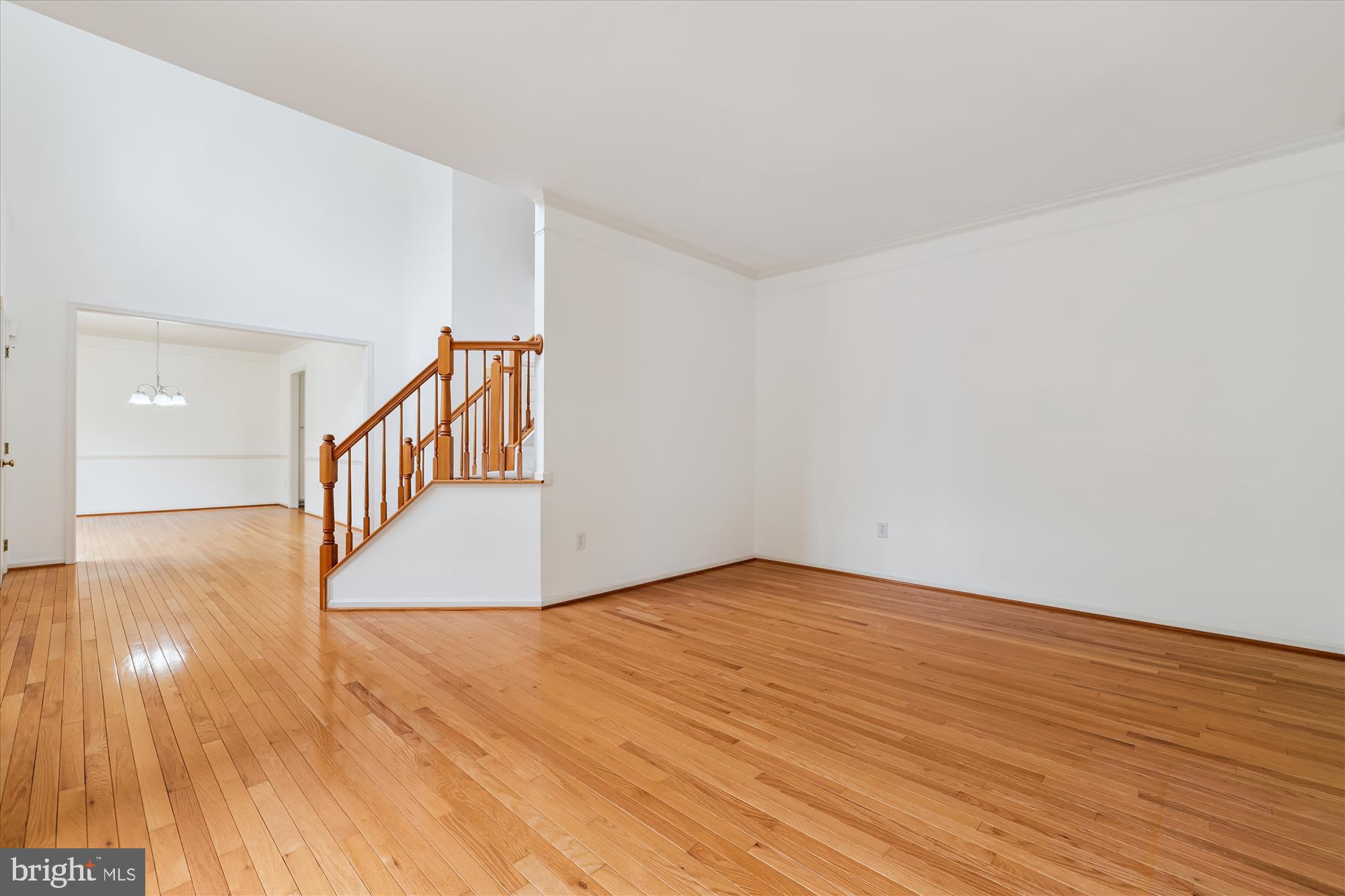 12914 Summit Ridge Terrace Germantown, MD 20874 - Photo 4 of 71 Living Room