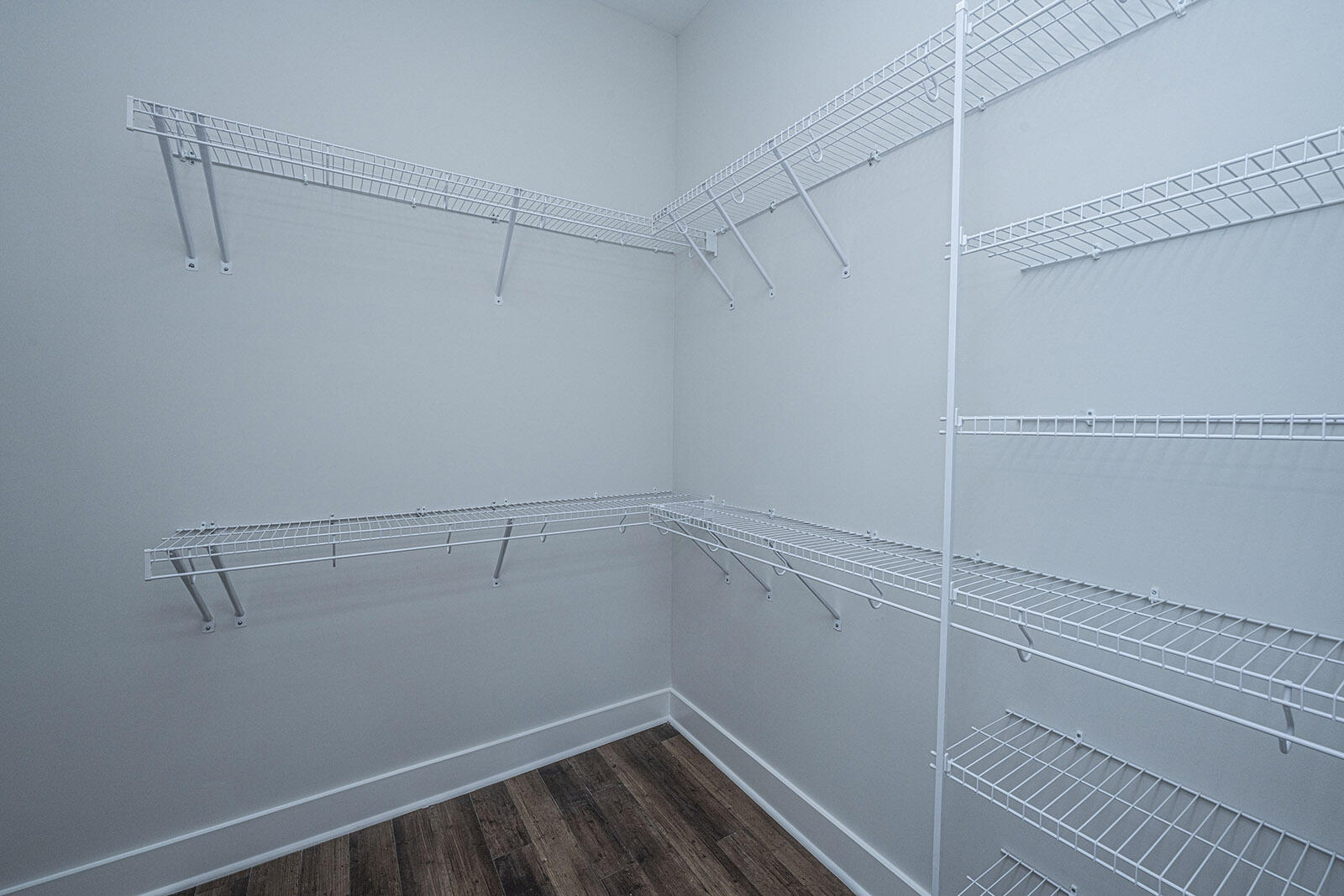 3500 Habenaria Road Mount Pleasant, SC 29466 - Photo 26 of 32 Primary Closet - Albemarle