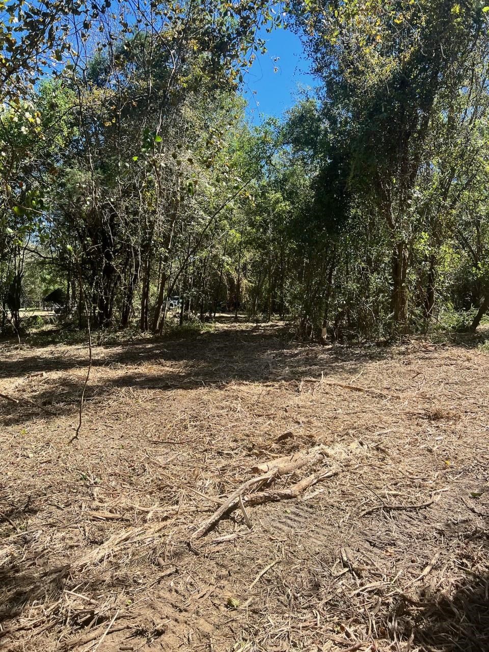 24205 Waterworld Road Robertsdale, AL 36567 - Photo 2 of 4