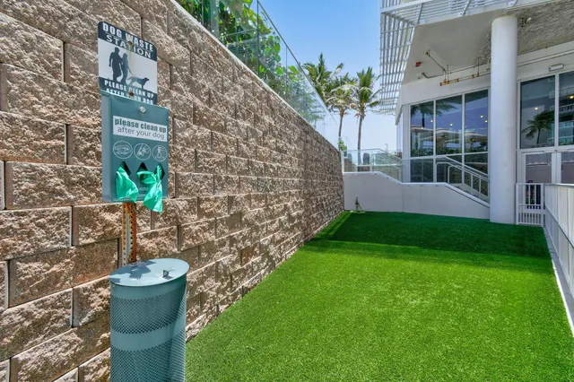 a view of an ocean beach