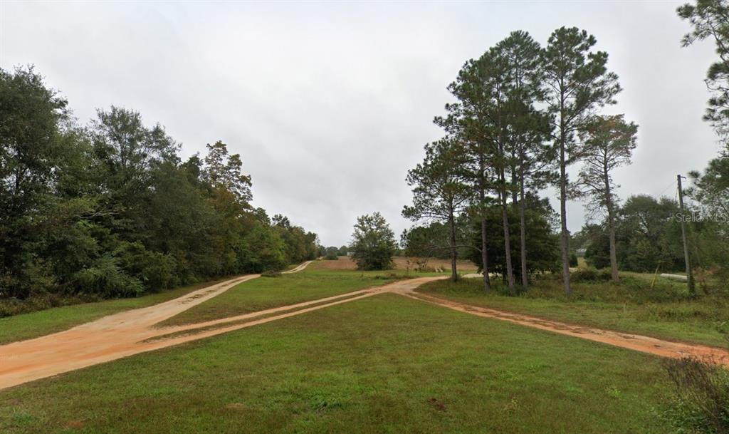 860 Rock Hill Church Road Cottondale, FL 32431 - Photo 2 of 6