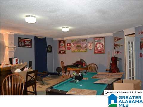 401 Old Settlement Road Oneonta, AL 35121 - Photo 7 of 28