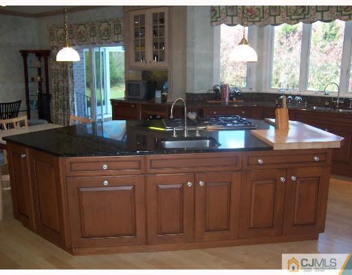 56 High Skillman, NJ 08558 - Photo 4 of 8 Gallery Image 4