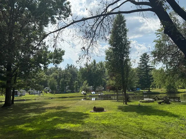 a view of a park with large trees