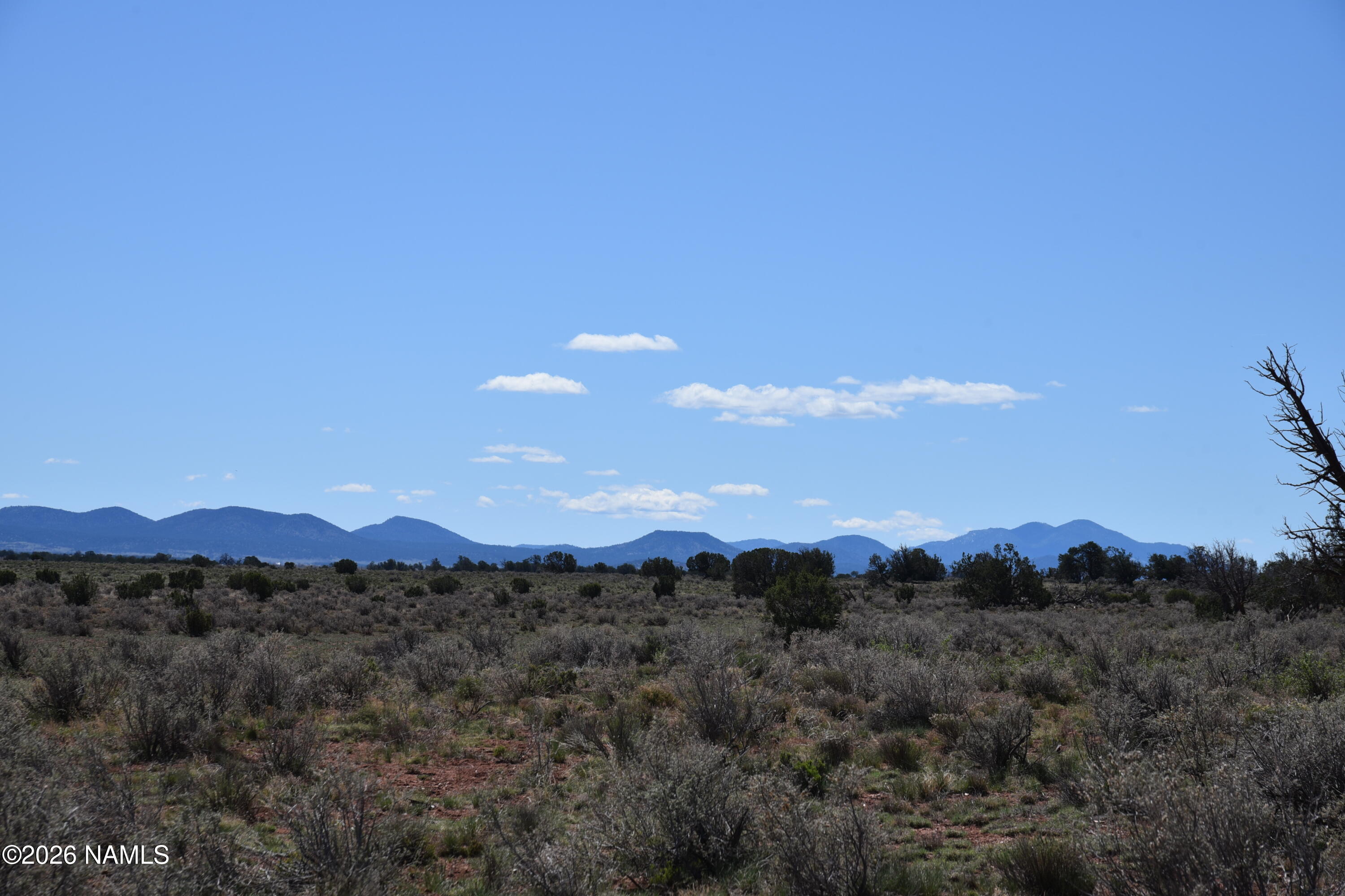 1348 East Indian Meadows Road Williams, AZ 86046 - Photo 14 of 17 DSC_5087