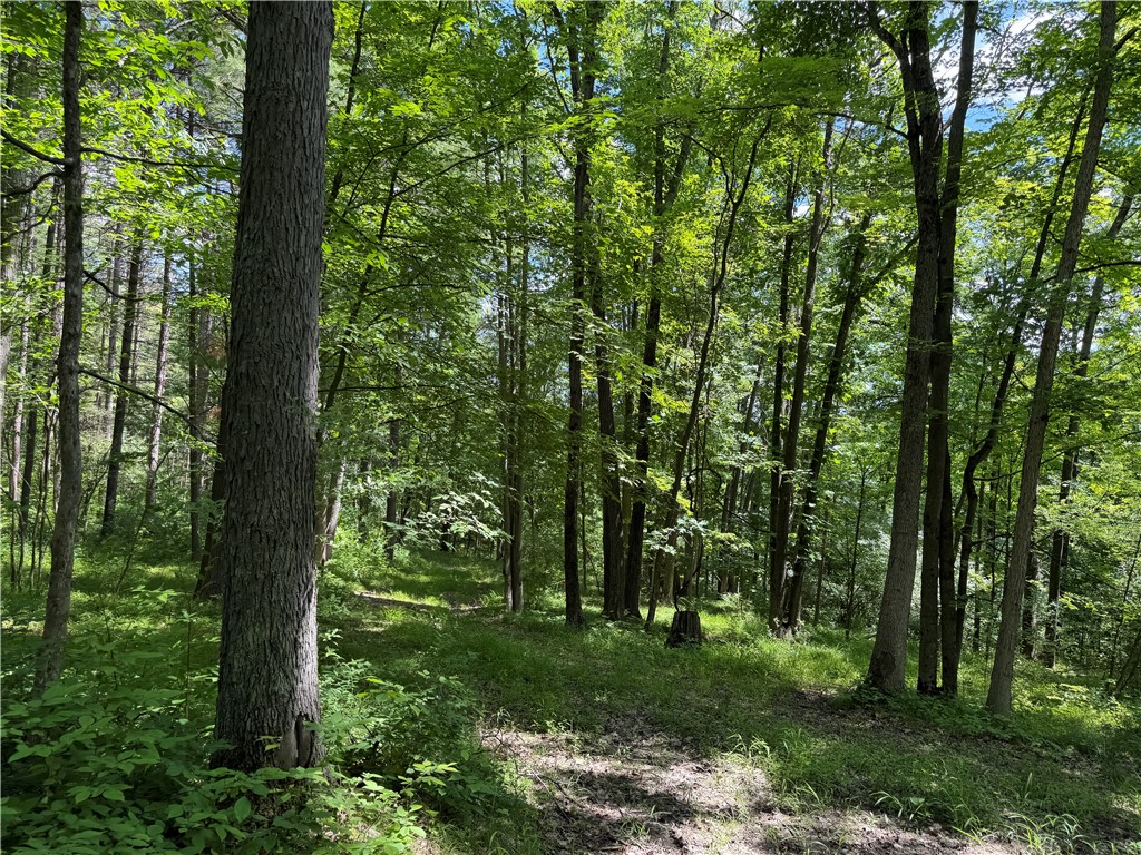Vl Catatunk Road, Unit R Canisteo, NY 14823 - Photo 25 of 50