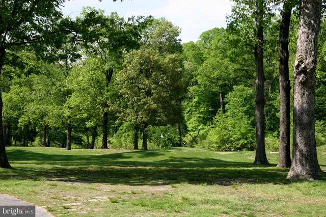 a huge green field with lots of trees