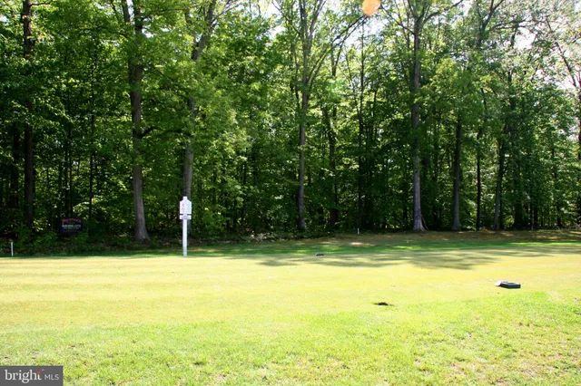 a view of a swimming pool with a big yard