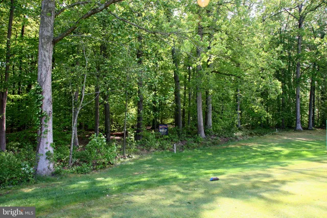 a view of a grassy field with trees