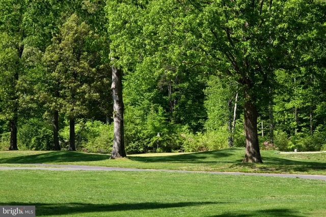 a view of a golf course
