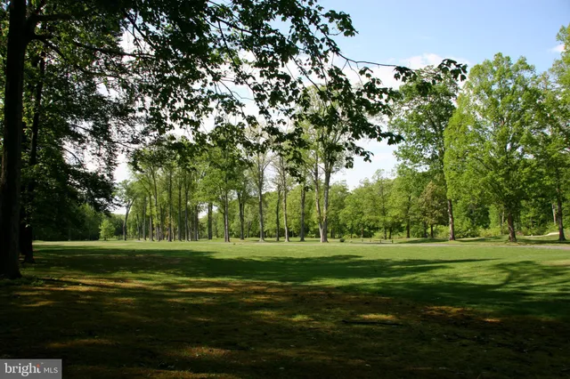 a view of a grassy field with trees